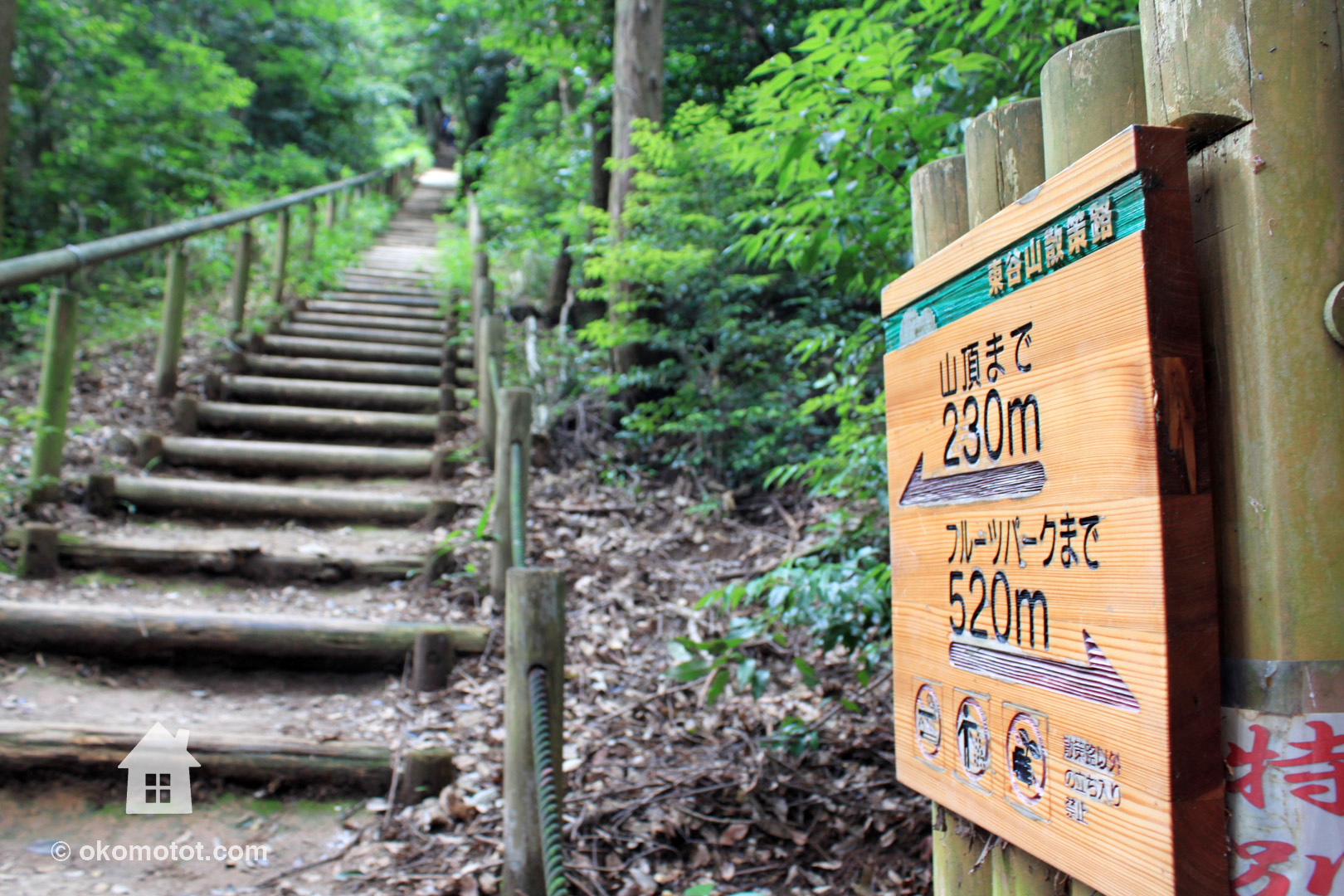 初心者登山 名古屋最高峰198 3mの東谷山で古墳ロマンと神秘的な森を満喫 2017年7月上旬 ほどほど