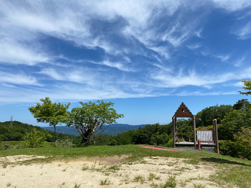 青空と緑の木々